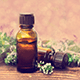  8 Of The Best Uses Of Red Thyme Essential Oil

