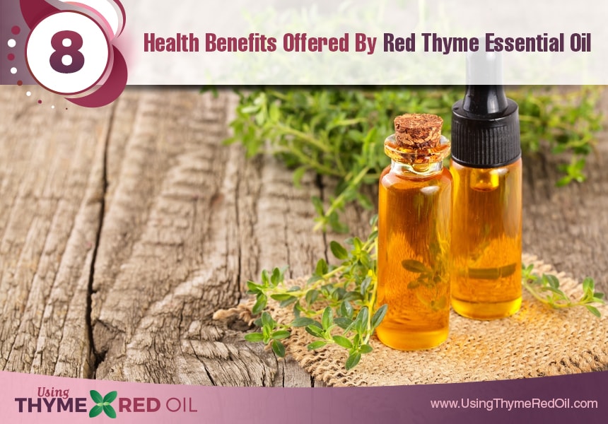  benefits of red thyme essential oil