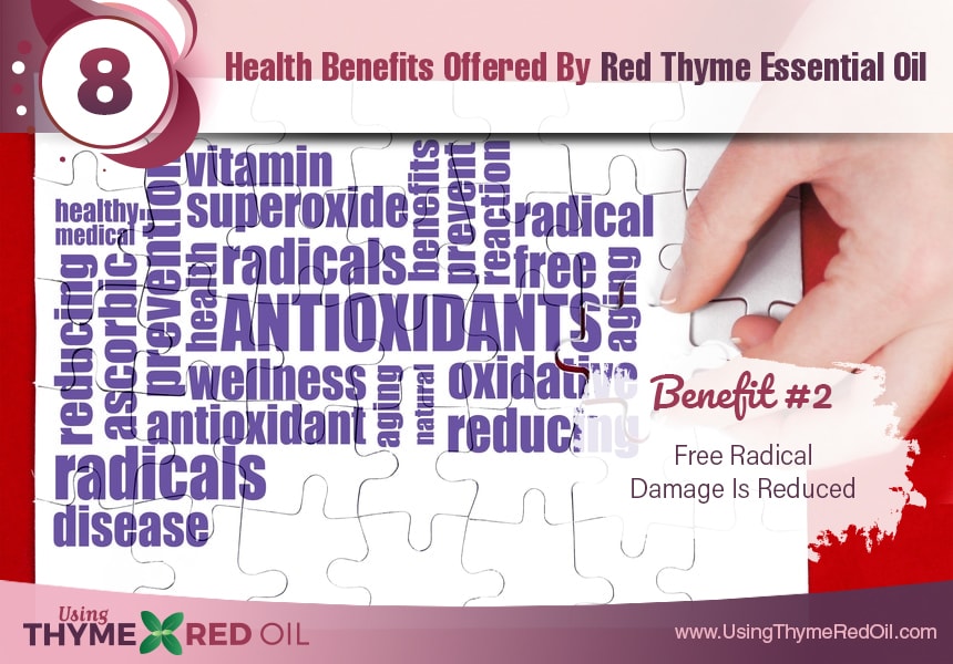  what is red thyme essential oil used for