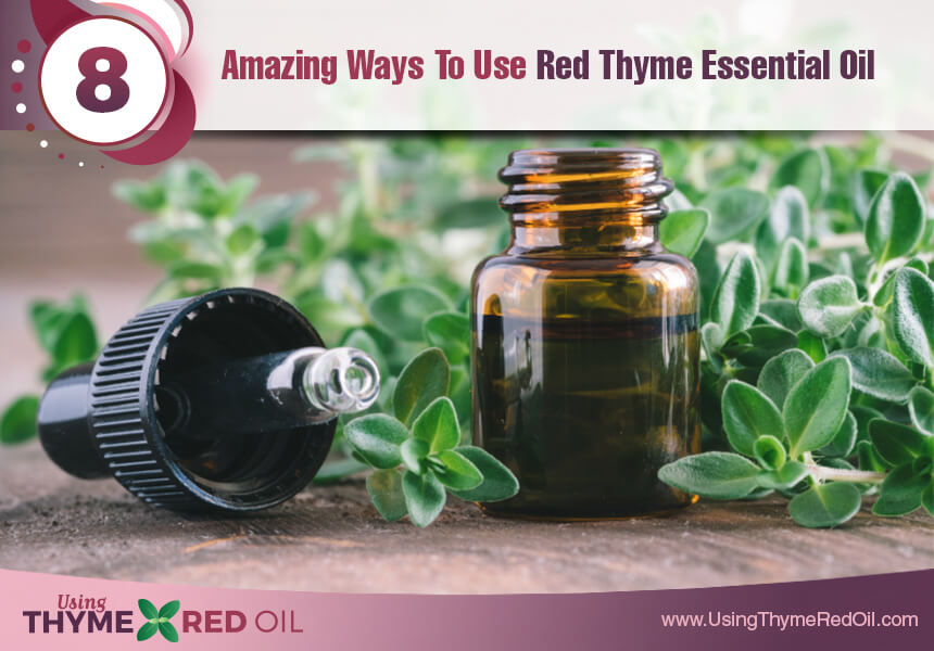  how to use red thyme essential oil